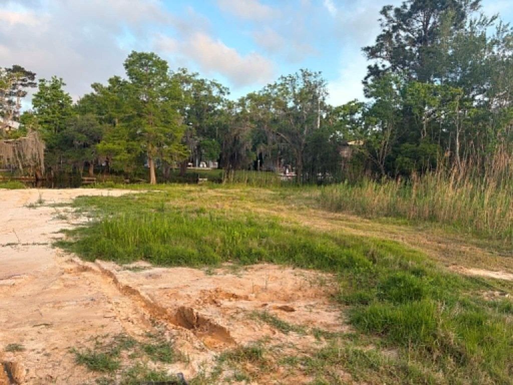 Picture 6