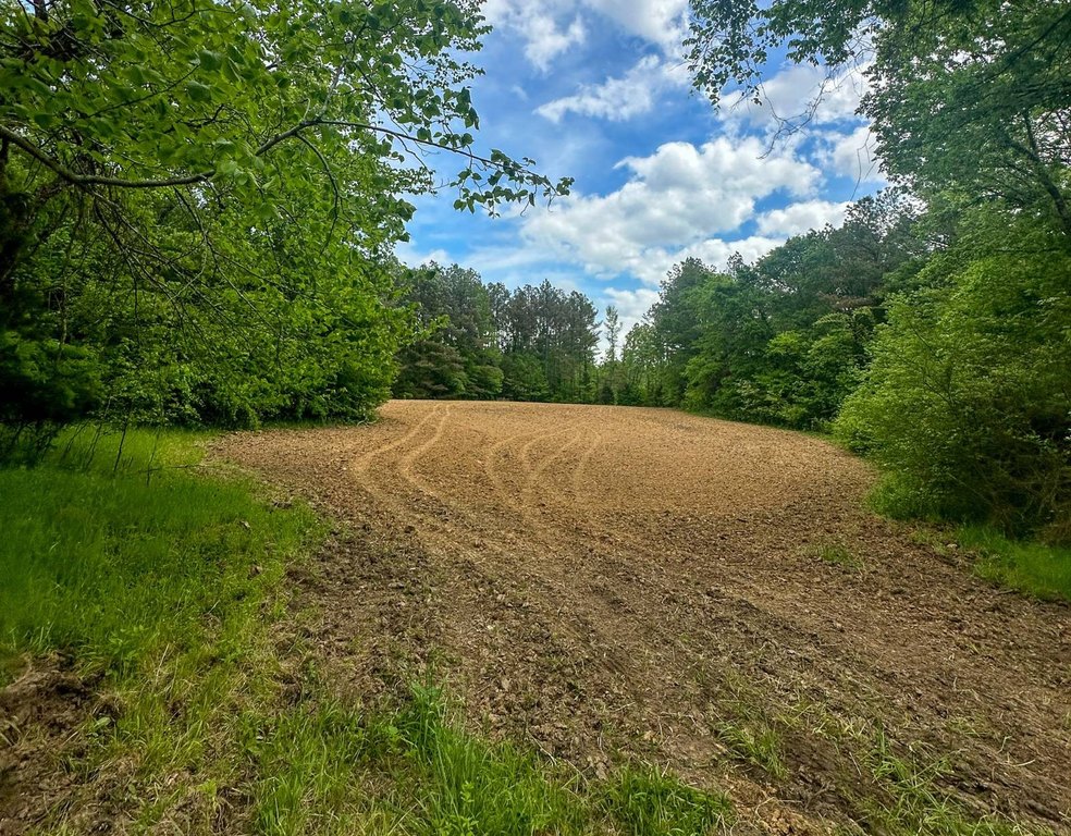 Picture 27