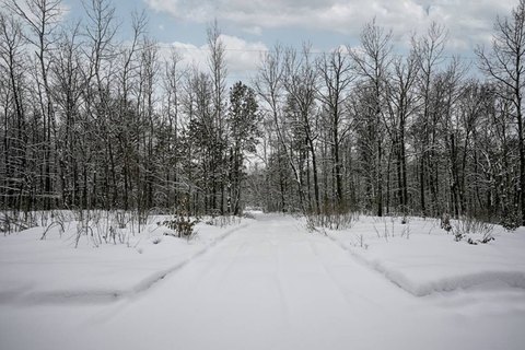 Trego, WI Wooded Buildable Land