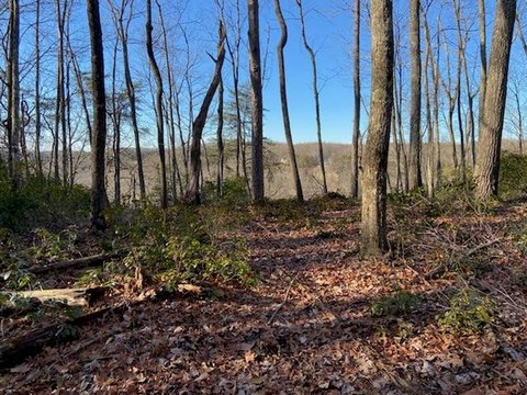 Cumberland Cove Bluff View Lot