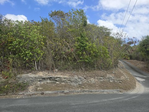 Land, St. Croix, VI