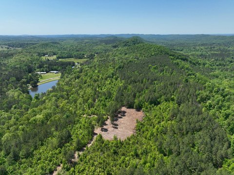 Recreational Timber Acreage with Utilities