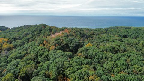 Land, Covert, MI