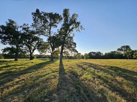 Land in Meadows of Deer Crossing