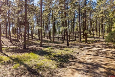 LAND, Bayfield, CO