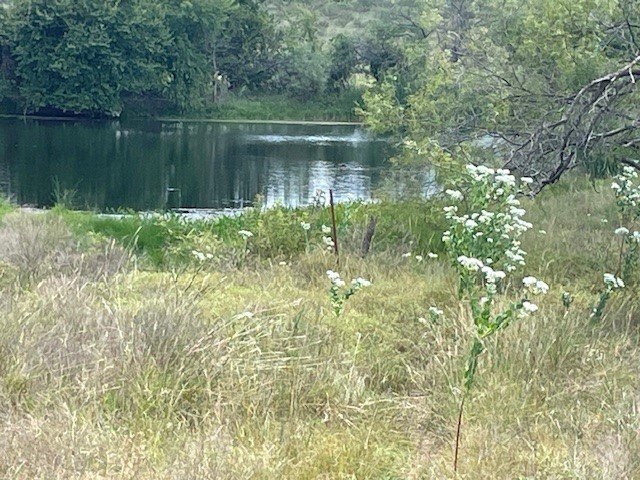 Picture 6