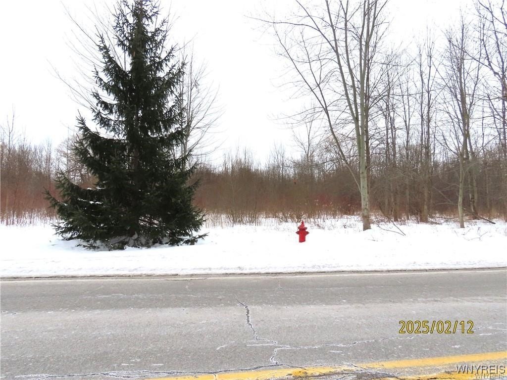 Land in Clarence Center, NY