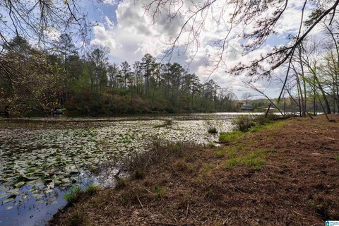 Lakefront Property with Stream