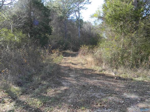 LAND - Gaylesville, AL