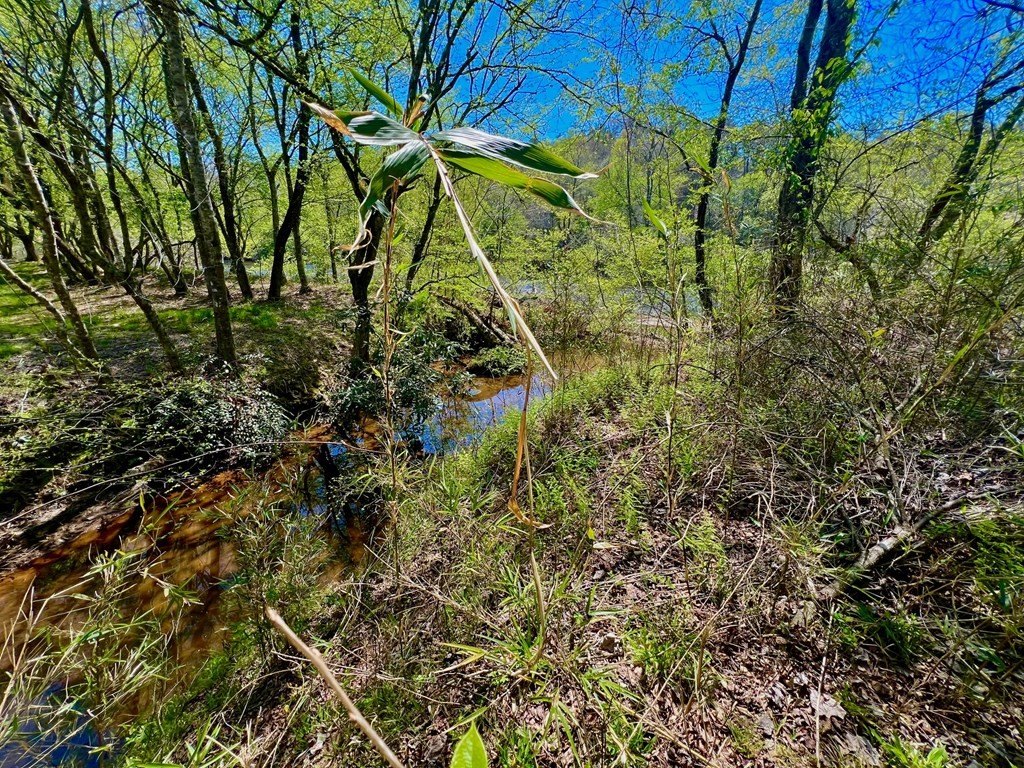 Picture 22