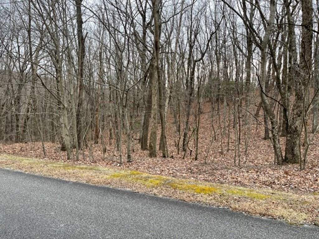 Picture 8