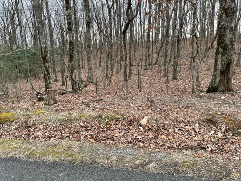 Picture 12