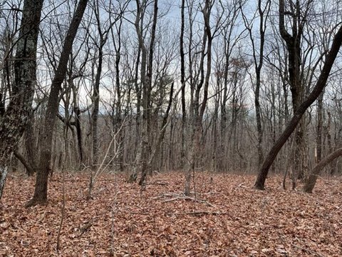Vacant Lot - Ellijay, GA