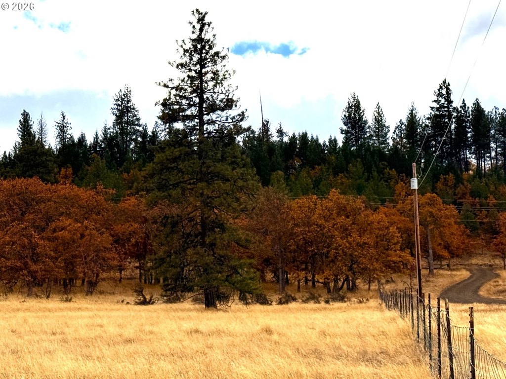 Picture 28