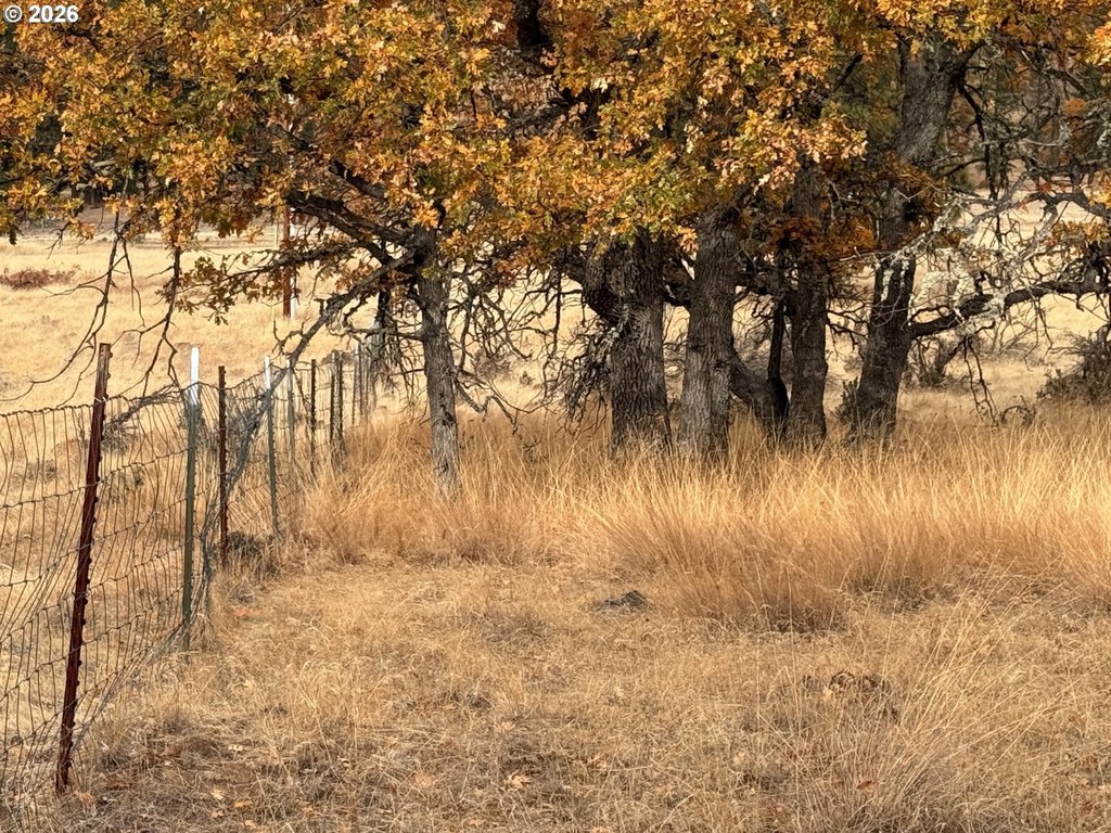 Picture 24