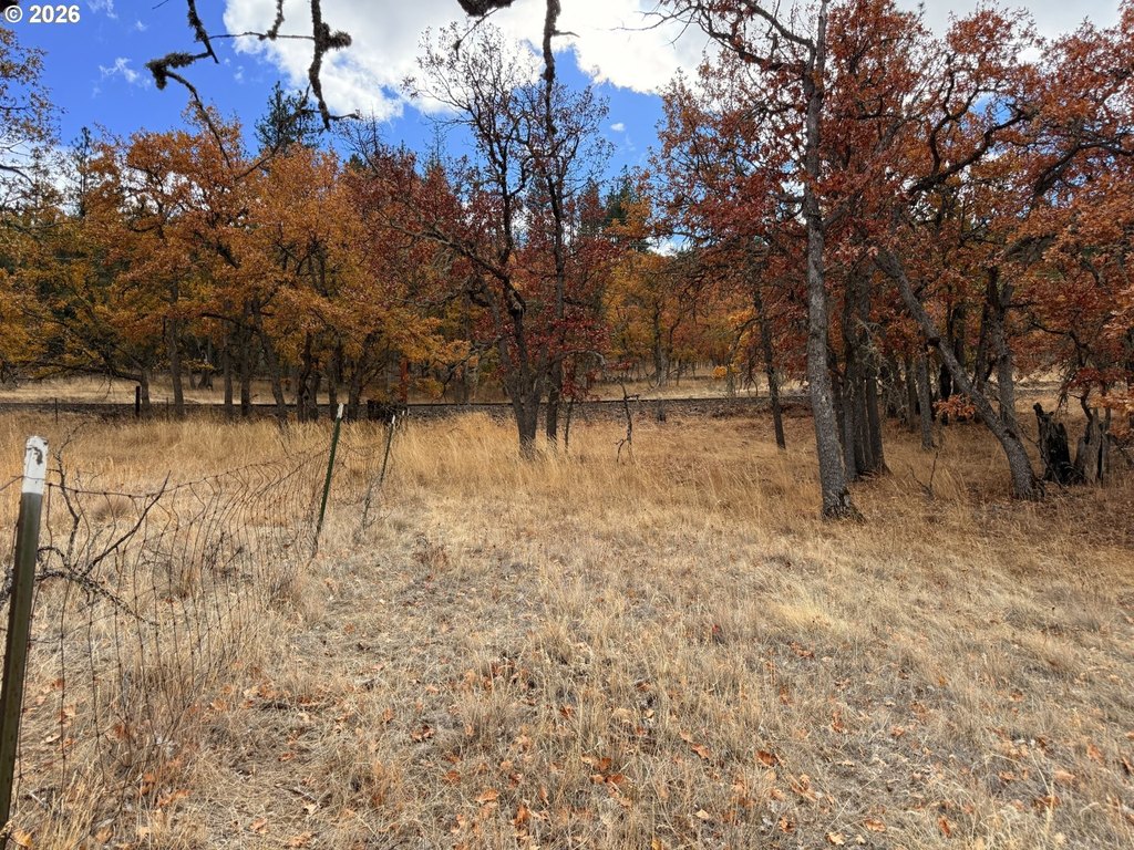 Picture 18