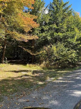 LAND - Bowerbank, ME