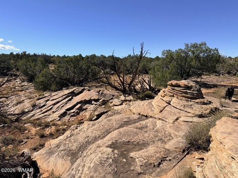 Land, Snowflake, AZ
