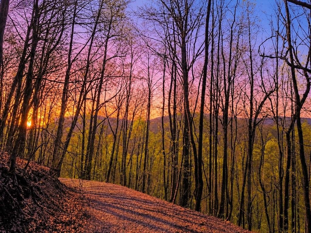 29 Acres Mountain View Property