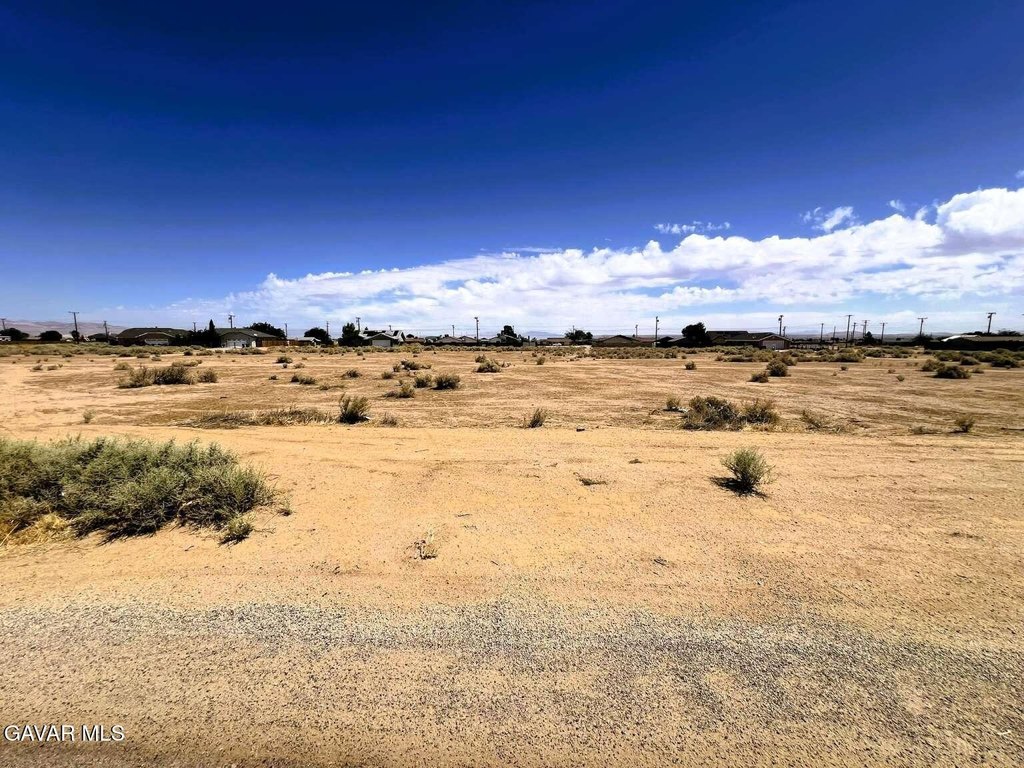 Picture 9
