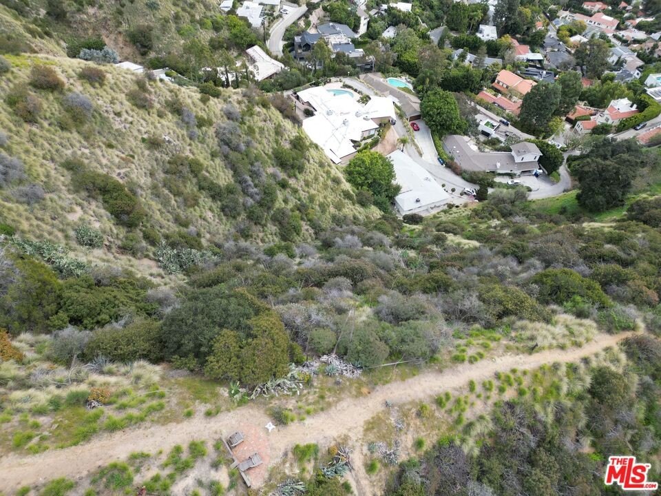 Picture 12
