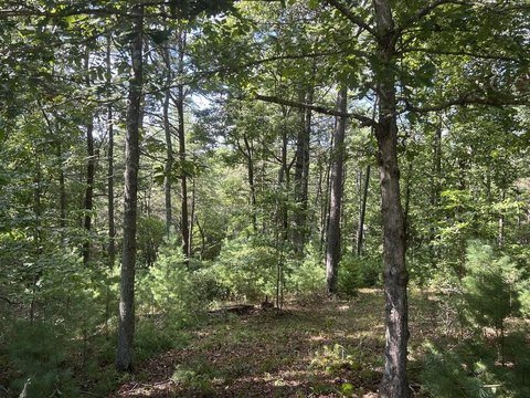 Vacant Lot, Morganton, GA