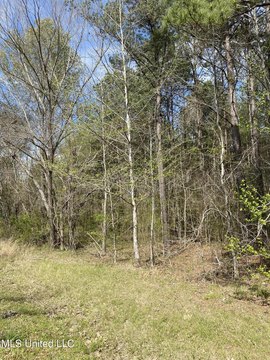 Canton, MS Land For Sale