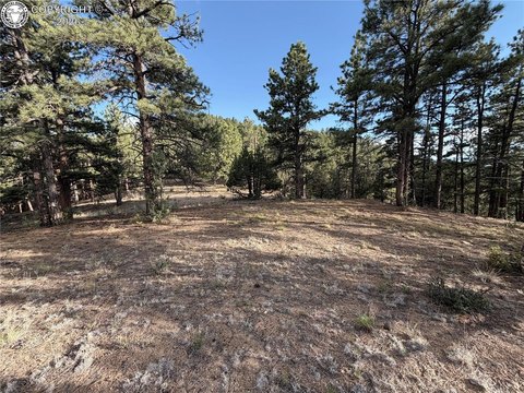 Land, Canon City