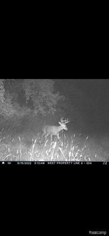 Picture 12