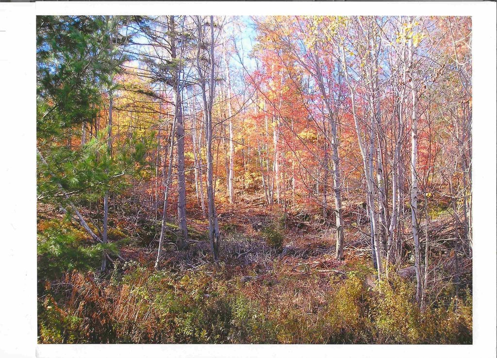 Picture 23