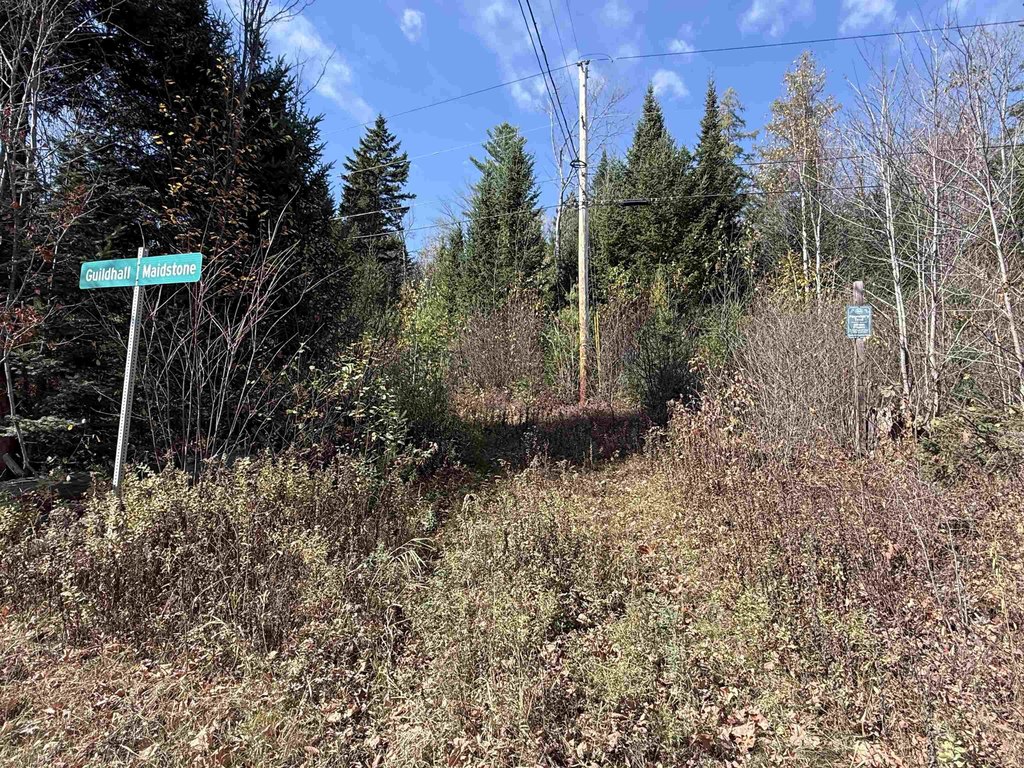 Picture 25