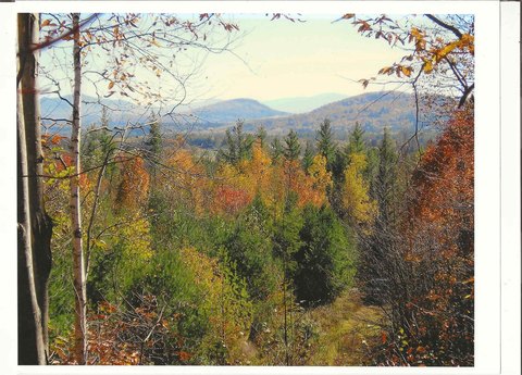 Recreation Land with Snowmobile Trail Access