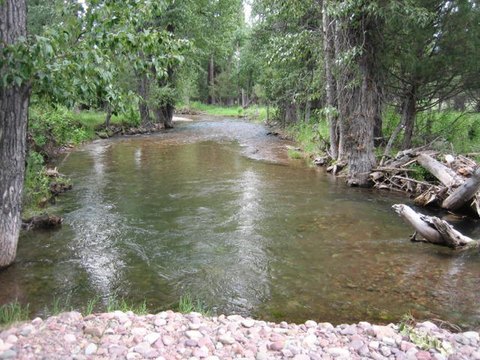 Seeley Lake Commercial Land Opportunity