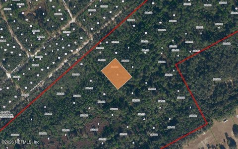 Land, Satsuma, FL