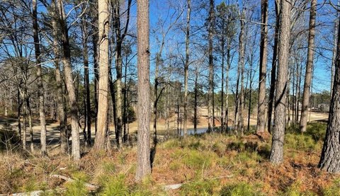 Golf Community Homesite in North Augusta