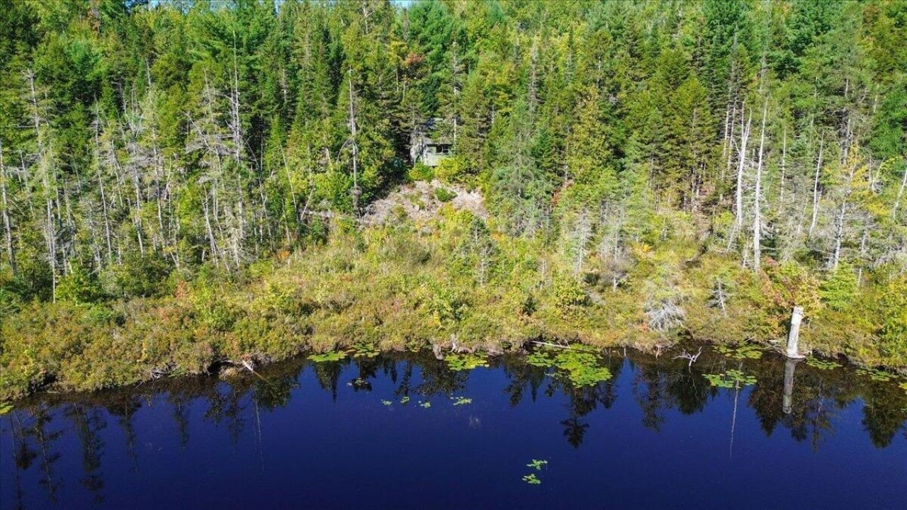 Holden Wooded Acres Hunting Camp