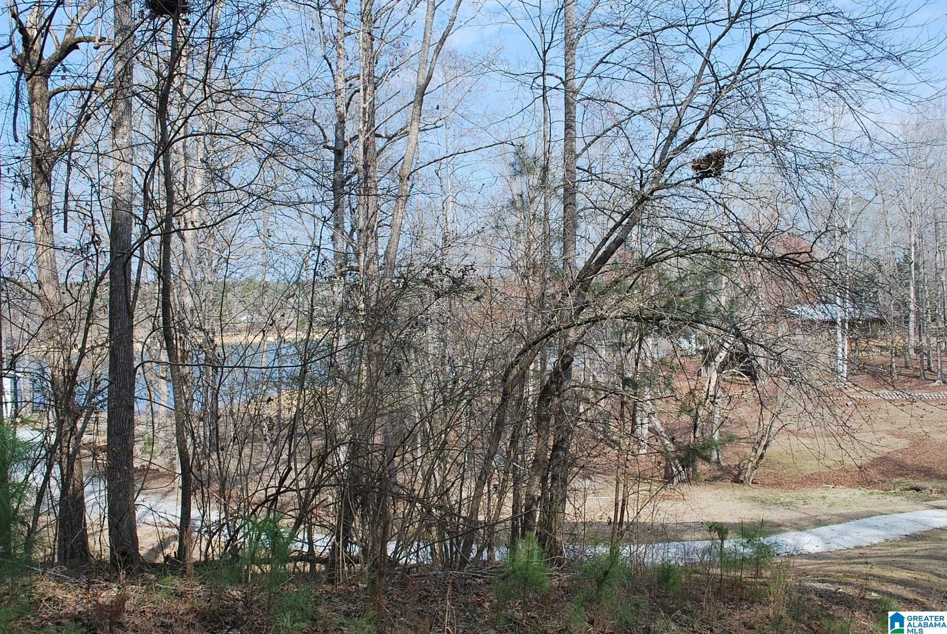 LINEVILLE Acreage with Lake Views