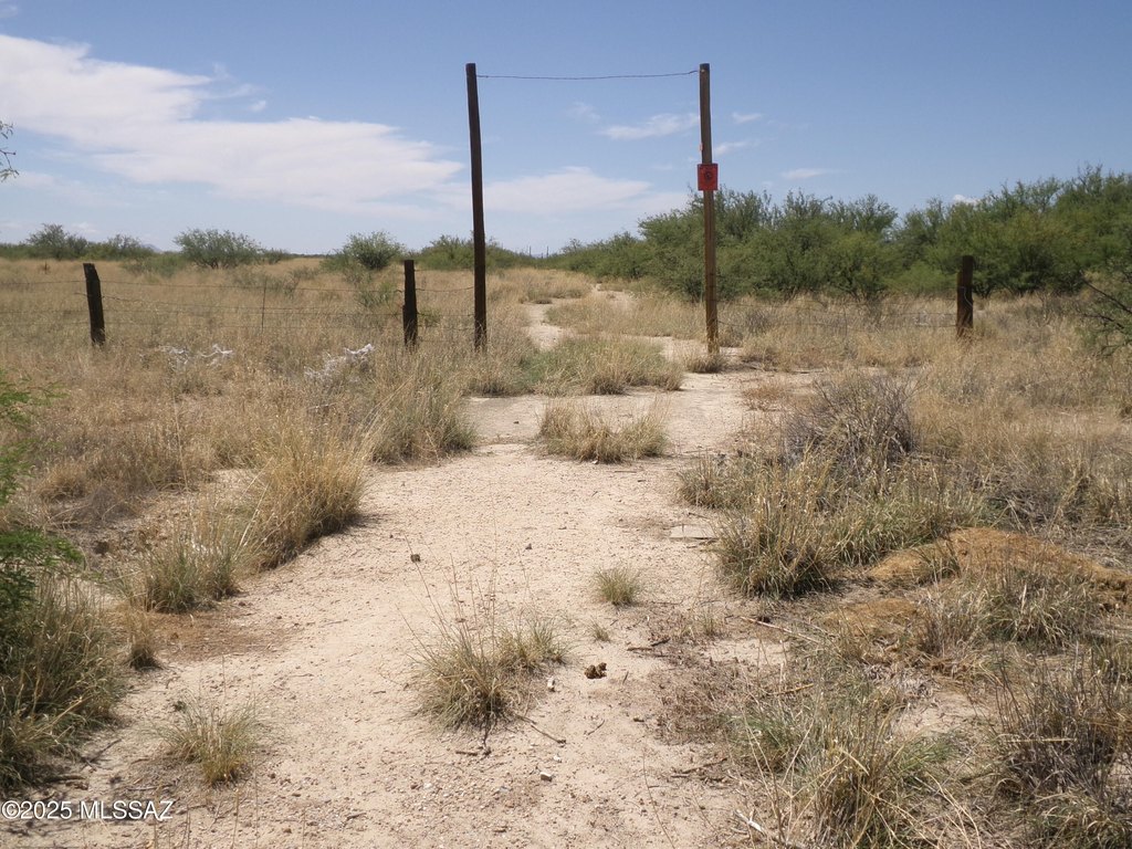 Picture 6
