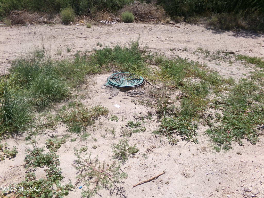 Picture 13