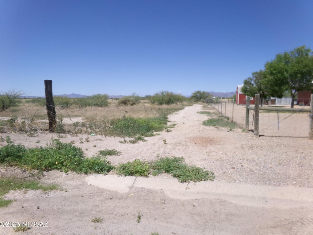 Picture 16