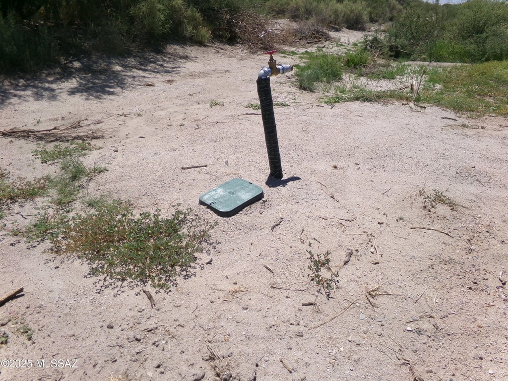 Picture 14