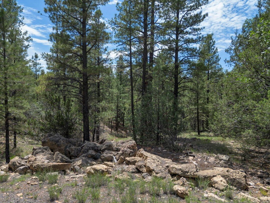 Picture 19