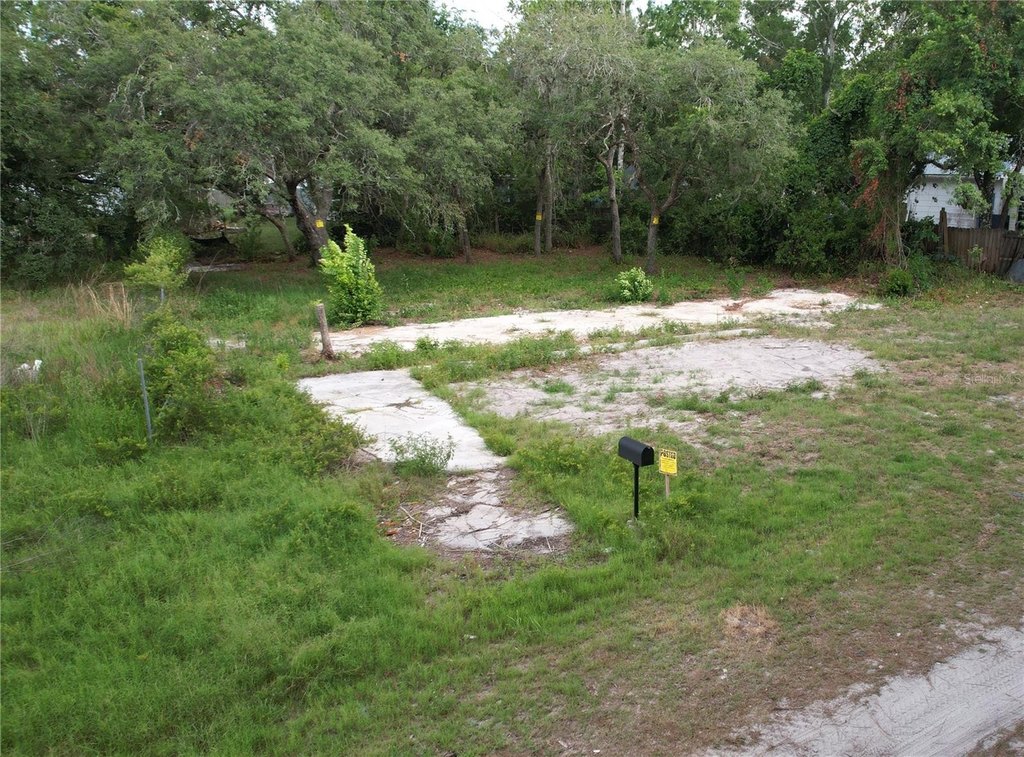 Picture 3