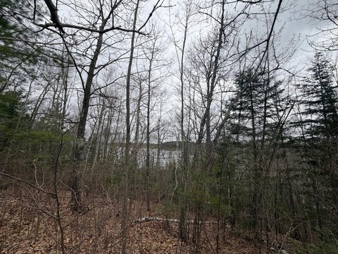 Wooded Lot with Lake View