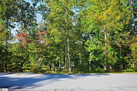 Lots/Land, West Union, SC