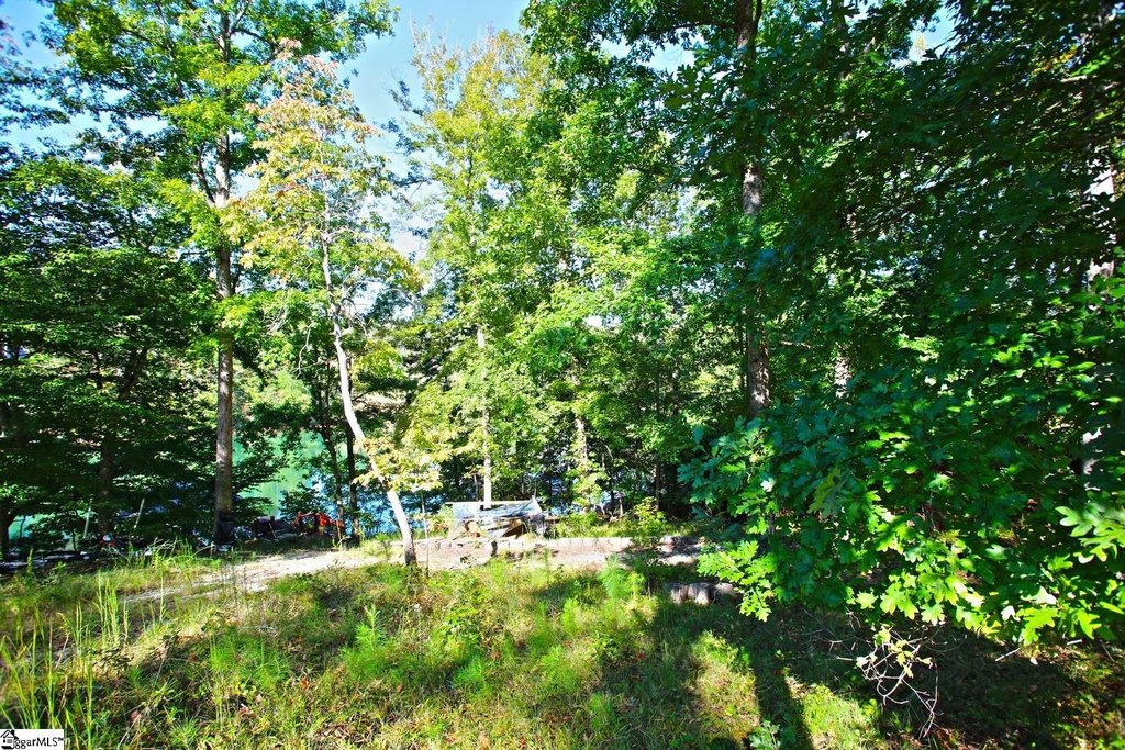 Picture 25
