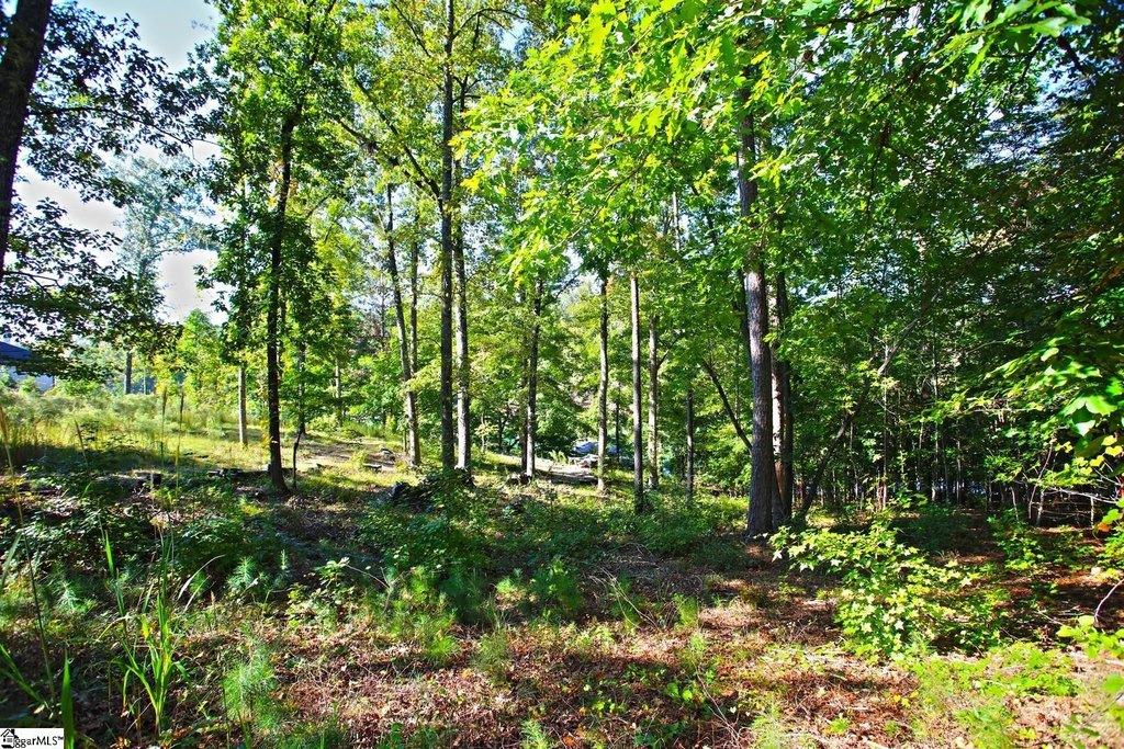 Picture 37