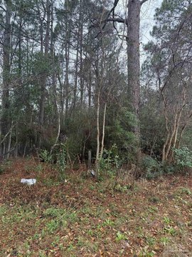 Pensacola Land with Easement Access