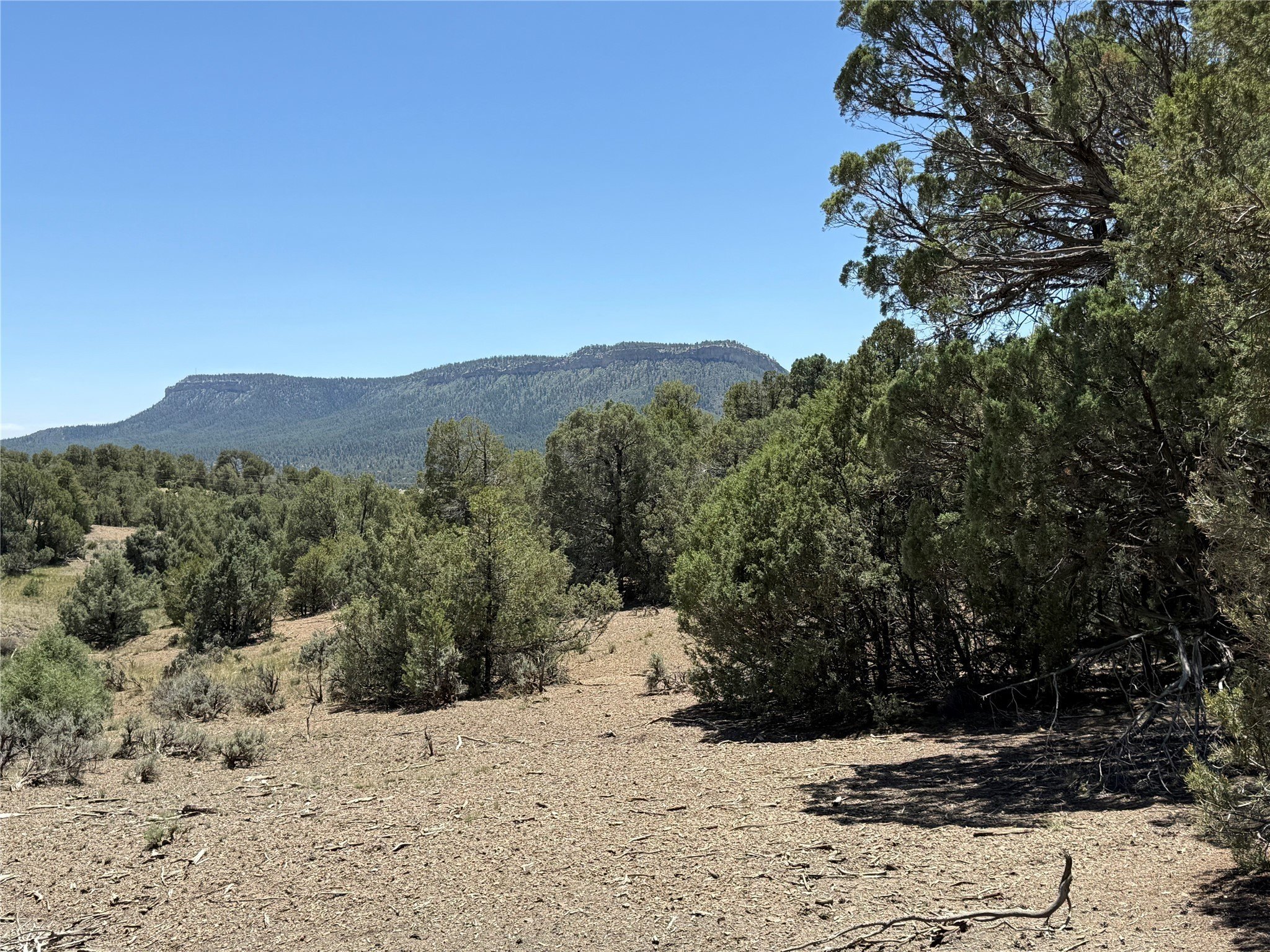 Land in Los Ojos, NM