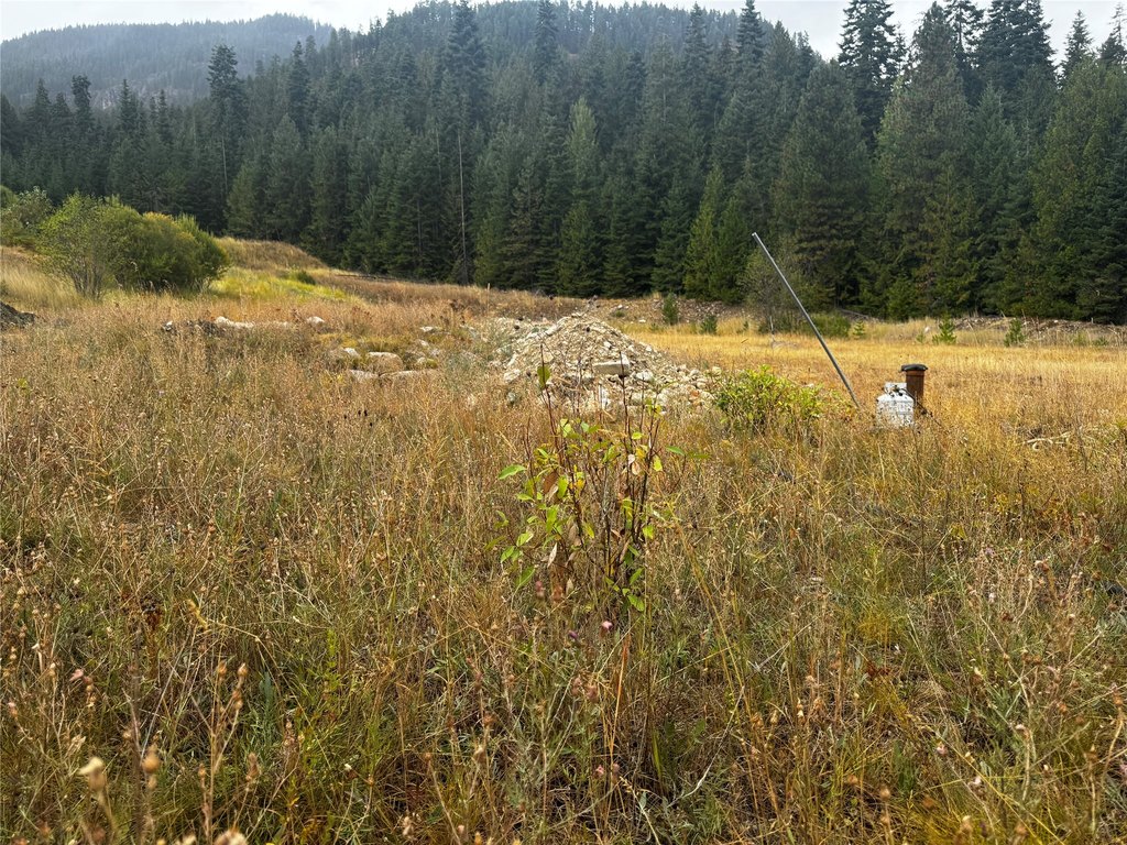 Picture 13